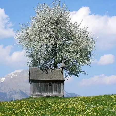 Bergblick Apartment *
