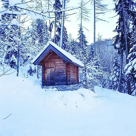 Bergblick * Gallzein