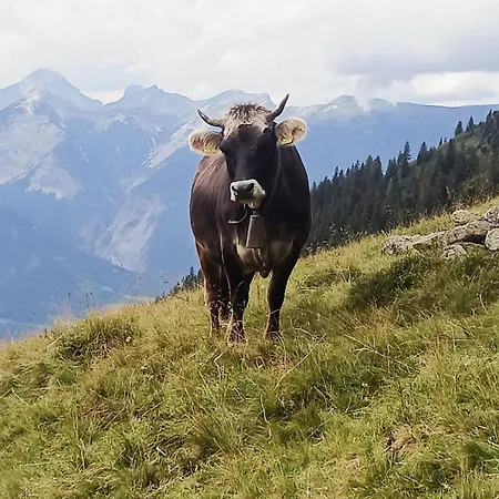 Bergblick Gallzein