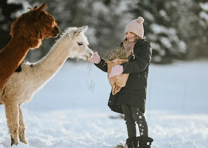 Apartamento Bergblick